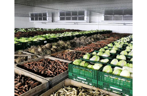 Овощехранилища под "Ключ" Холодильное Оборудование с Установкой для Хранения Овощей и Фруктов. - Продажа в Севастополе