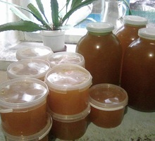 Продам мед - Пчеловодство в Евпатории