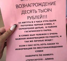 Пропала     сумка в Гагаринском парке - Помогите найти, верну найденное в Крыму