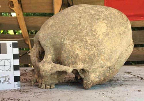 На некрополе в Крыму обнаружены погребенные с деформированными черепами ФОТО