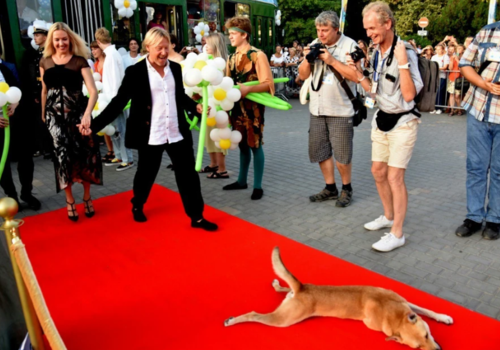 Рыжий пес на красной дорожке кинофестиваля в Крыму вызвал восторг у Дмитрия Харатьяна и его супруги