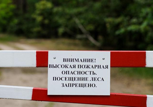 В Крыму запретили посещать леса