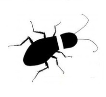 Дезинсекция. Уничтожение тараканов быстро и качественно - Клининговые услуги в Краснодаре
