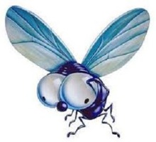 Дезинсекция. Уничтожение мух быстро и качественно - Клининговые услуги в Краснодаре