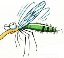 Дезинсекция. Уничтожение комаров быстро и качественно - Клининговые услуги в Краснодаре