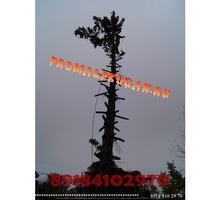 Спил деревьев Краснодар, не дорого Гарантия целостности окружающих объектов. - Ландшафтный дизайн в Краснодарском Крае