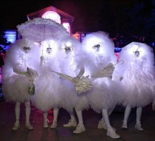 Светящиеся фьеки - пушистики на мероприятие - Свадьбы, торжества в Краснодаре
