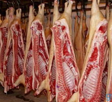 Мясо свинины оптом - Продукты питания в Кропоткине