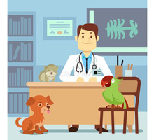Ветеринарный врач - Ветеринарные услуги в Краснодаре