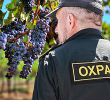 Требуются сотрудники для охраны виноградников г.Ялта, Крым. - Охрана, безопасность в Краснодаре