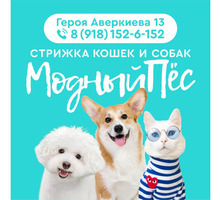 Стрижка кошек и собак - Ателье, обувные мастерские, мелкий ремонт в Краснодаре