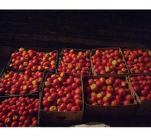 Помидоры на томат - Эко-продукты, фрукты, овощи в Кореновске