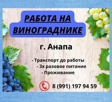 ​Рабочий на виноградник - Сельское хозяйство, агробизнес в Краснодаре