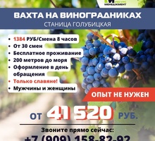 ​Требуются: РАЗНОРАБОЧИЕ - Сельское хозяйство, агробизнес в Краснодаре
