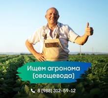​Активно развивающаяся компания  в поисках агронома (агронома-овощевода) - Сельское хозяйство, агробизнес в Краснодарском Крае