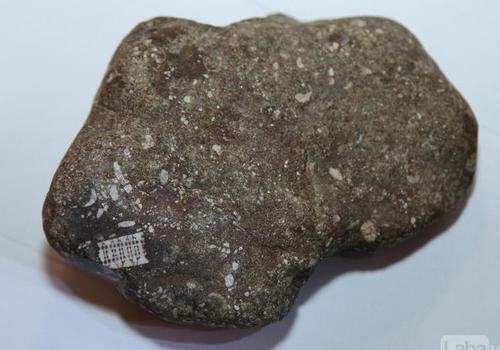 Житель Лабинска нашел древний камень с микрочипом