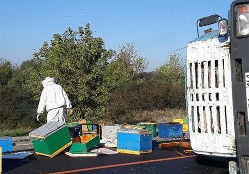 Под Горячим Ключом перевернулся грузовик с пчелиными ульями ФОТО