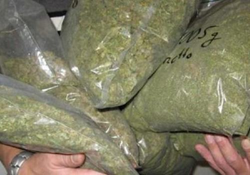 У двоих жителей Горячего Ключа нашли более 6 кг марихуаны