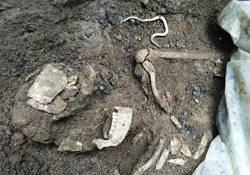 На Кубани мужчина на своем участке нашел останки человека и наконечники копья