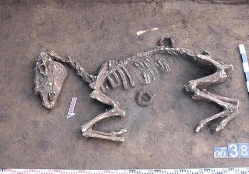 На Кубани нашли средневековый могильник