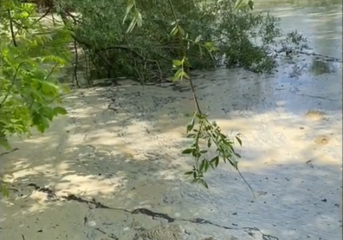 Мэрия Краснодара рассказала, чем грозит появившаяся на реке странная пена
