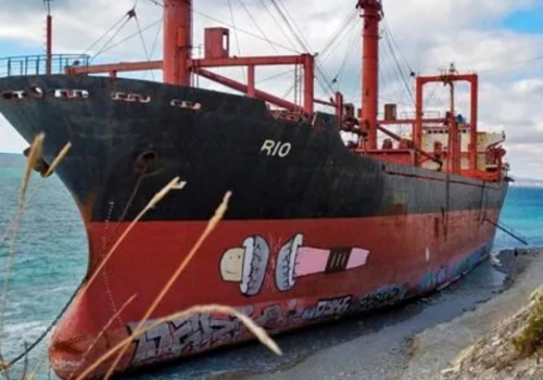 Сухогруз «RIO», прибитый к берегу Новороссийска, выставили на продажу за 50 млн рублей