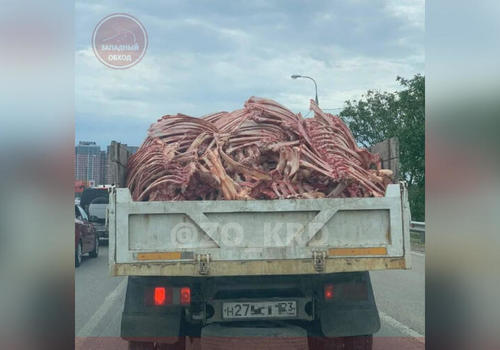 Жителей Краснодара напугал грузовик, полный окровавленных костей