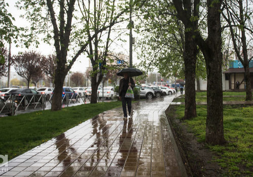 Неделя в Краснодарском крае начнется с небольших дождей