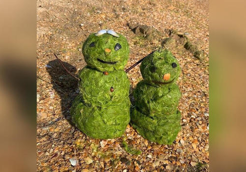 В Анапе туристы придумали, как использовать водоросли из моря ВИДЕО, ФОТО