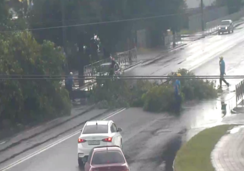 Ливень в Краснодаре: на улице Автолюбителей упавшее дерево перегородило дорогу