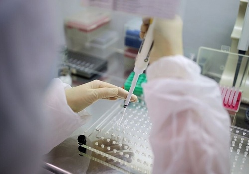В Краснодарском крае за сутки выявили 1729 случаев коронавируса