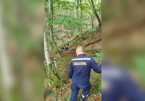 На Кубани в лесу нашли тело пропавшего пенсионера