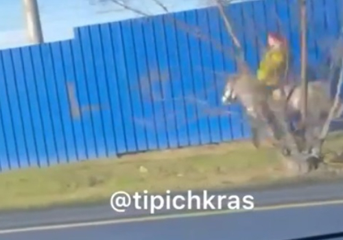 «Леди Годива уже не та»: скачущая на пони краснодарка удивила автомобилистов ВИДЕО